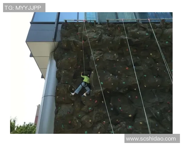 成都攀岩队个人能力表现数据分析与提升策略探讨