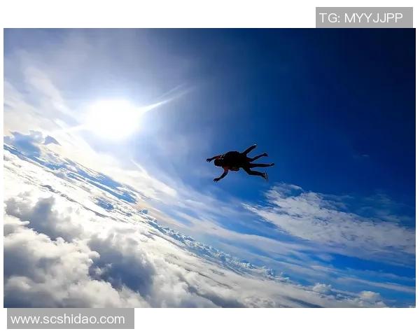 极限运动心理素质实力榜单权威发布引发热议与关注