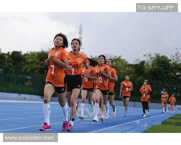 杭州排球队耐力对比深度解析与训练策略探讨