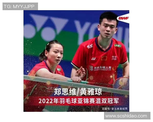 南京羽毛球队实力飙升力量排名创新高引发广泛关注