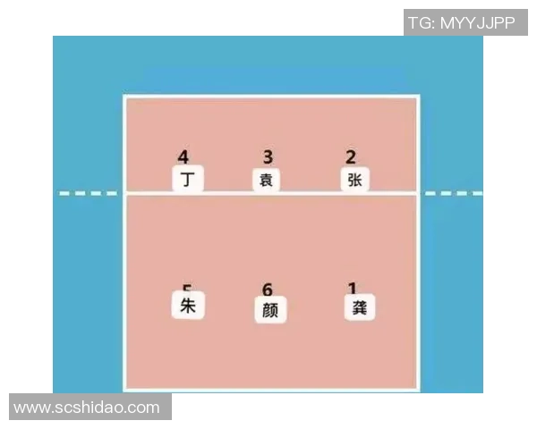 成都排球队与杭州排球队赛后分析强弱对比与战术探讨
